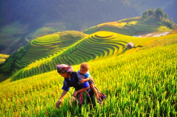 Mu Cang Chai (Yen Bai Province) strives to quickly become a tourist district