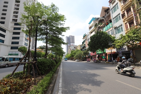 Hanoi to be proud of itself over tree planting success