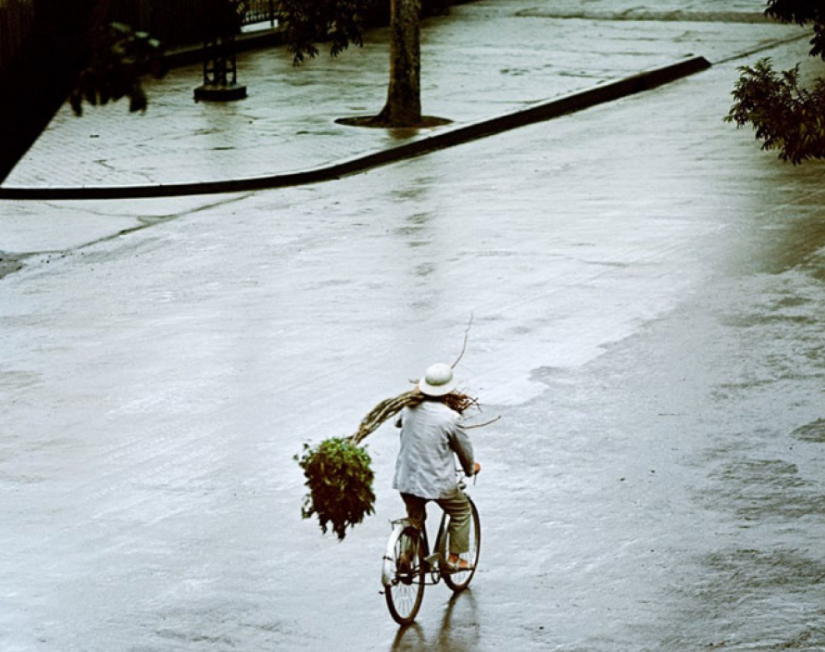 The German photographer who recorded Hanoi in wartime