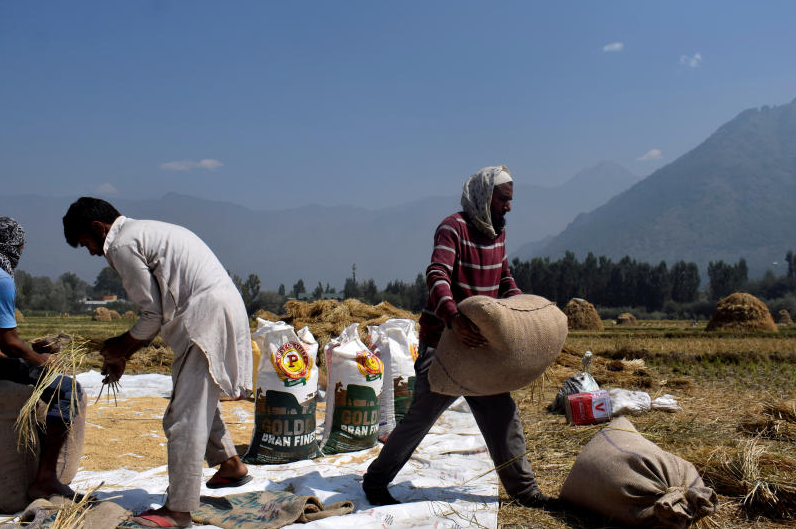 Vietnam buys Indian rice for first time in decades