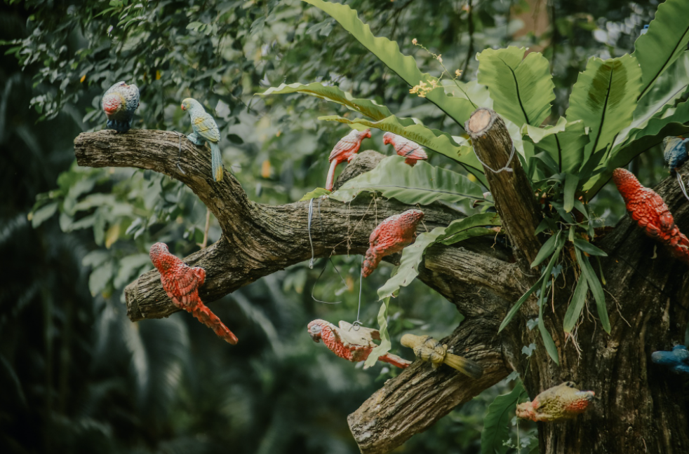 The evergreen-ness of HCMC's Zoo and Botanical Garden