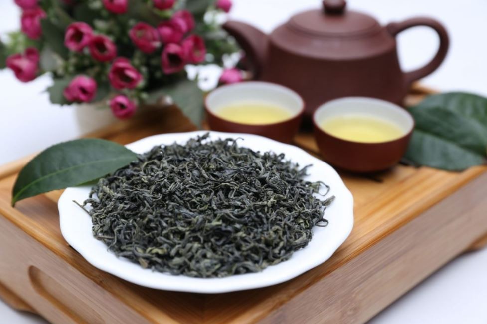 Antioxidant Effects in Green Tea: Secret to a Healthy and Energetic Lifestyle