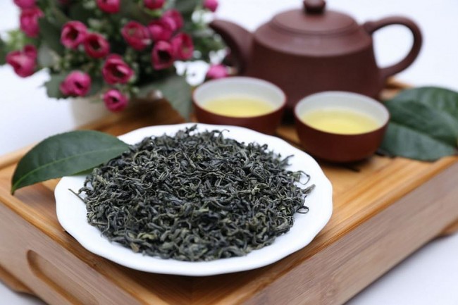 Antioxidant Effects in Green Tea: Secret to a Healthy and Energetic Lifestyle