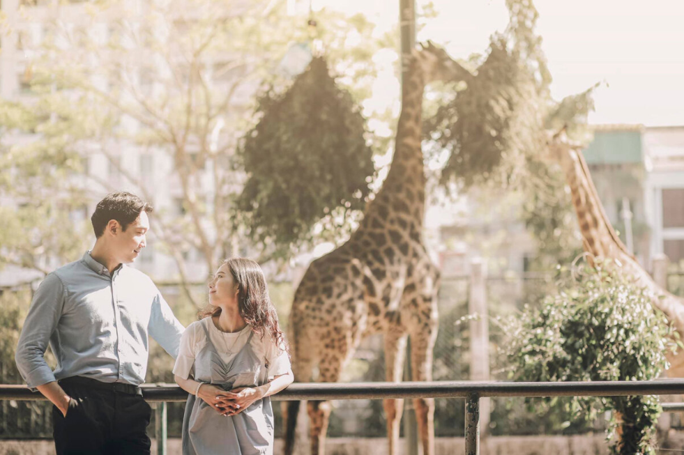 Saigon oldest zoo becomes romantic backdrop for Vietnamese - Korean couple's photoshoots 0538-capture1