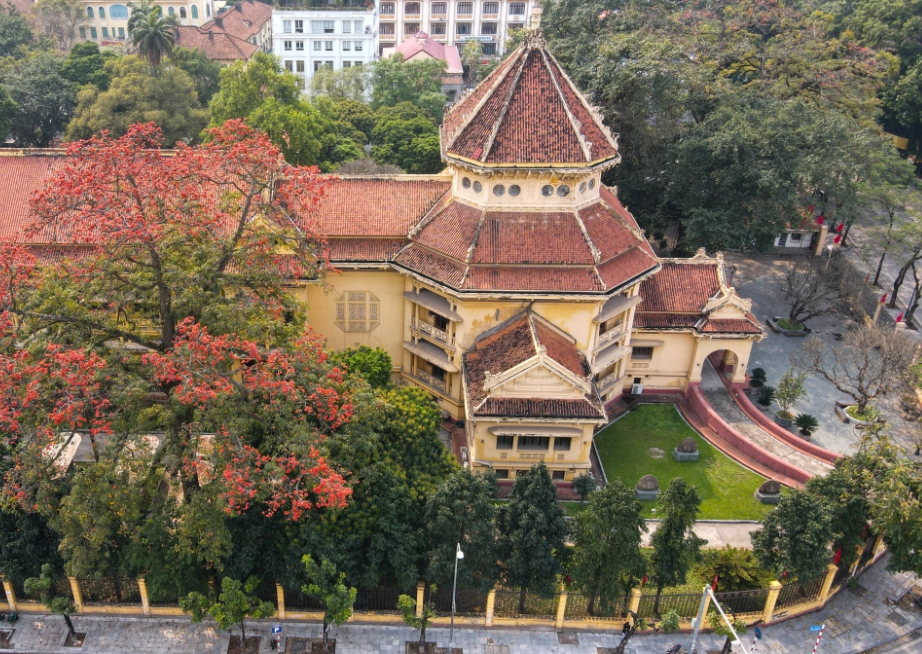 Hanoi in March: Silk-cotton flowers burn brightly red