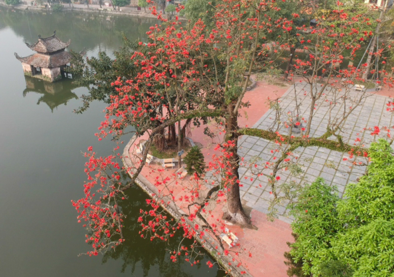 undefined 4307-capture8