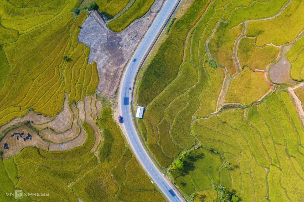 vibrant terraced fields in vietnams central province
