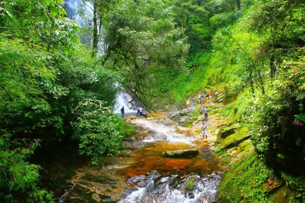 Top 8 impressive National Parks in Vietnam