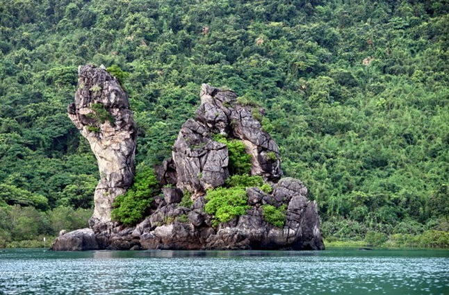 Top 8 impressive National Parks in Vietnam