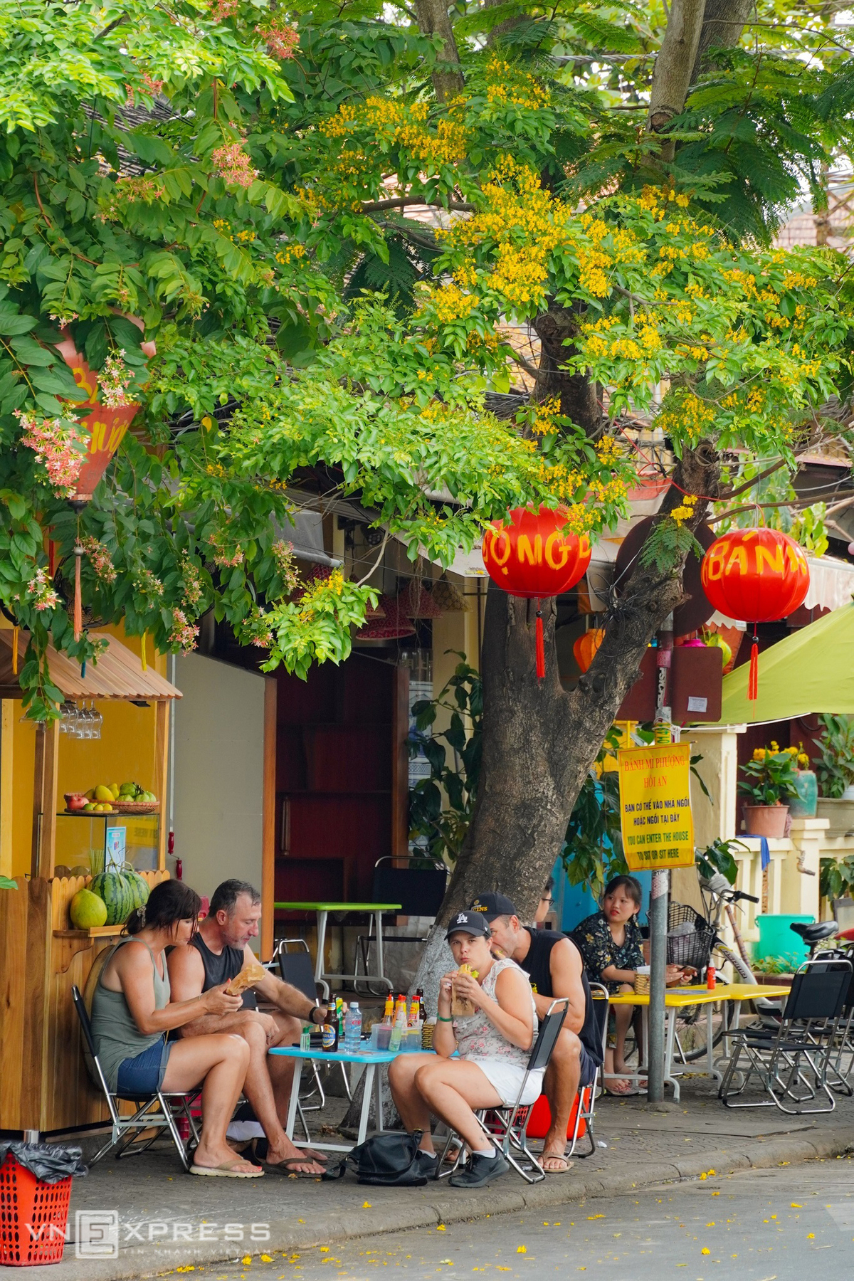 Hoi An ancient streets' summer flowers