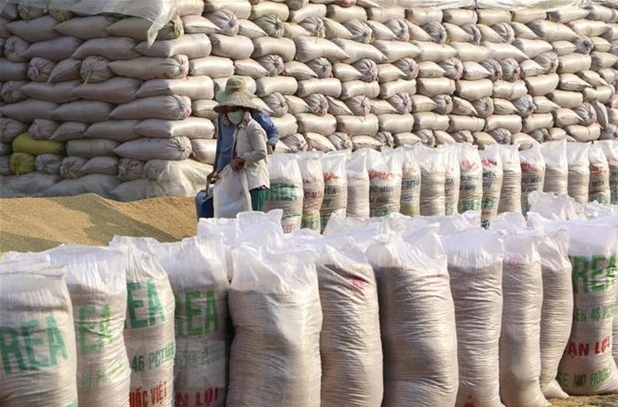 vietnam would remain worlds second largest rice exporter us department of agriculture