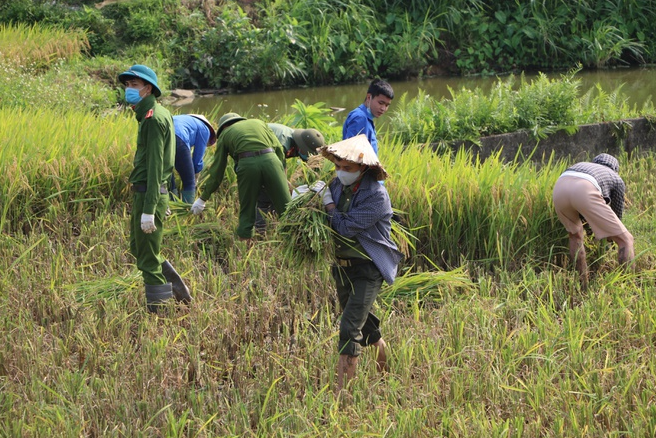 Police officers help people in quarantine areas harvest crops