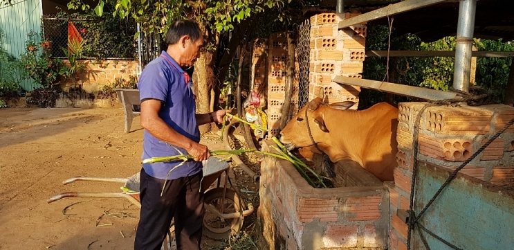 From reviled black sheep to respectable village elder