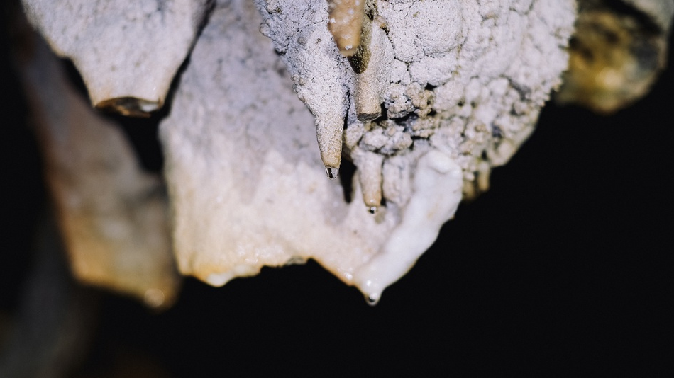 Masterpiece of stalactites in Quang Binh's cave