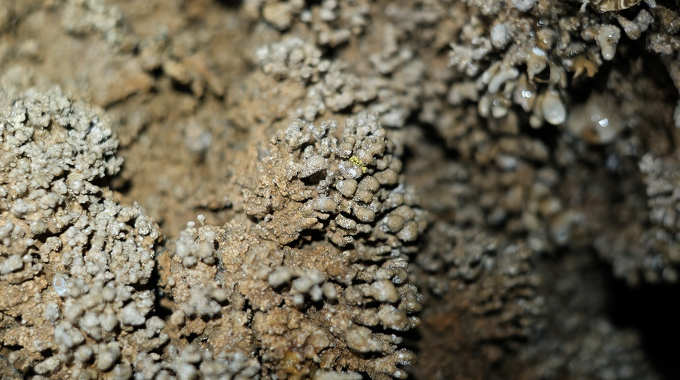 Masterpiece of stalactites in Quang Binh's cave