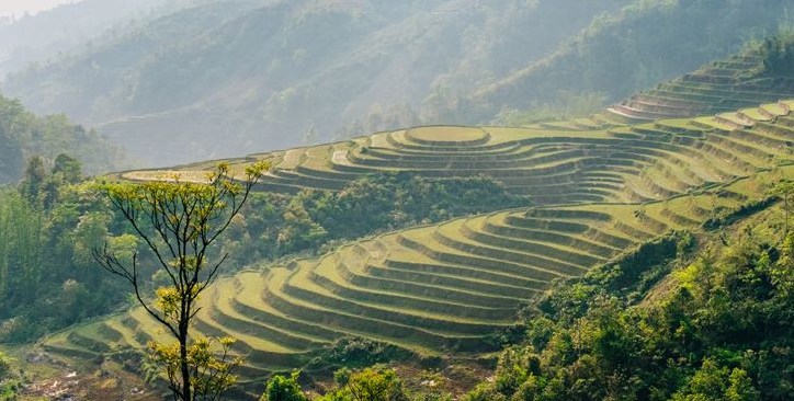 Ukrainian photographer 'fell in love' with Vietnam after traveling around Asia