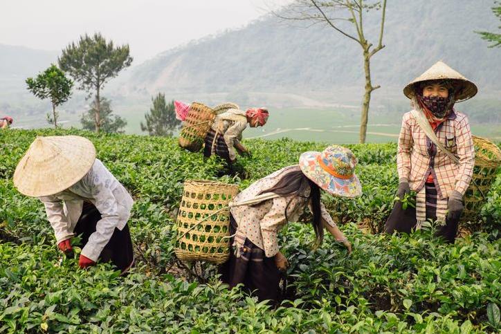 Ukrainian photographer 'fell in love' with Vietnam after traveling around Asia