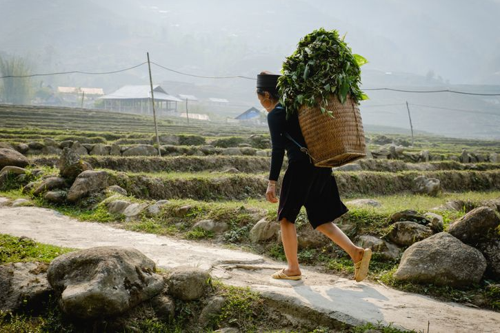 Ukrainian photographer 'fell in love' with Vietnam after traveling around Asia