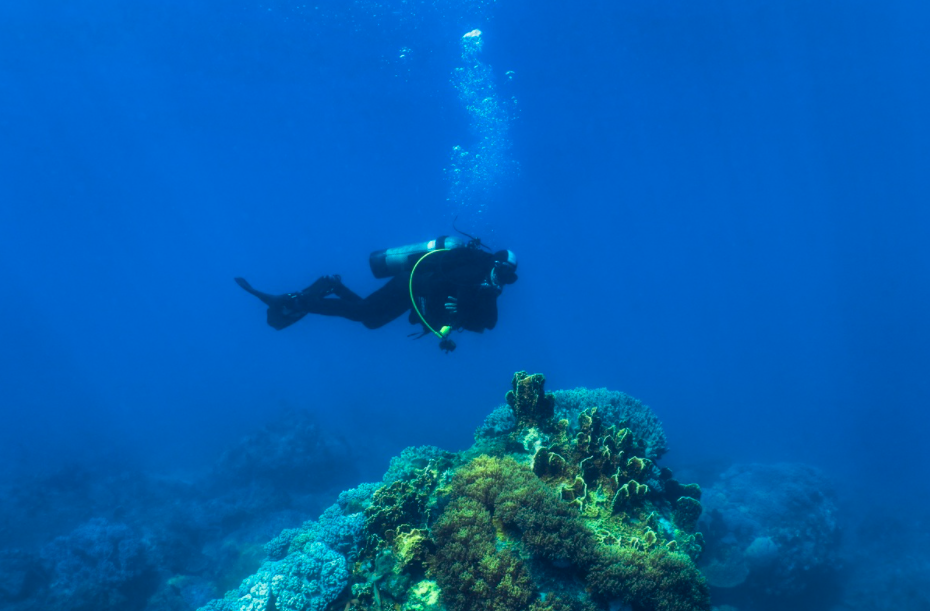 explore the seabed of hon mun island