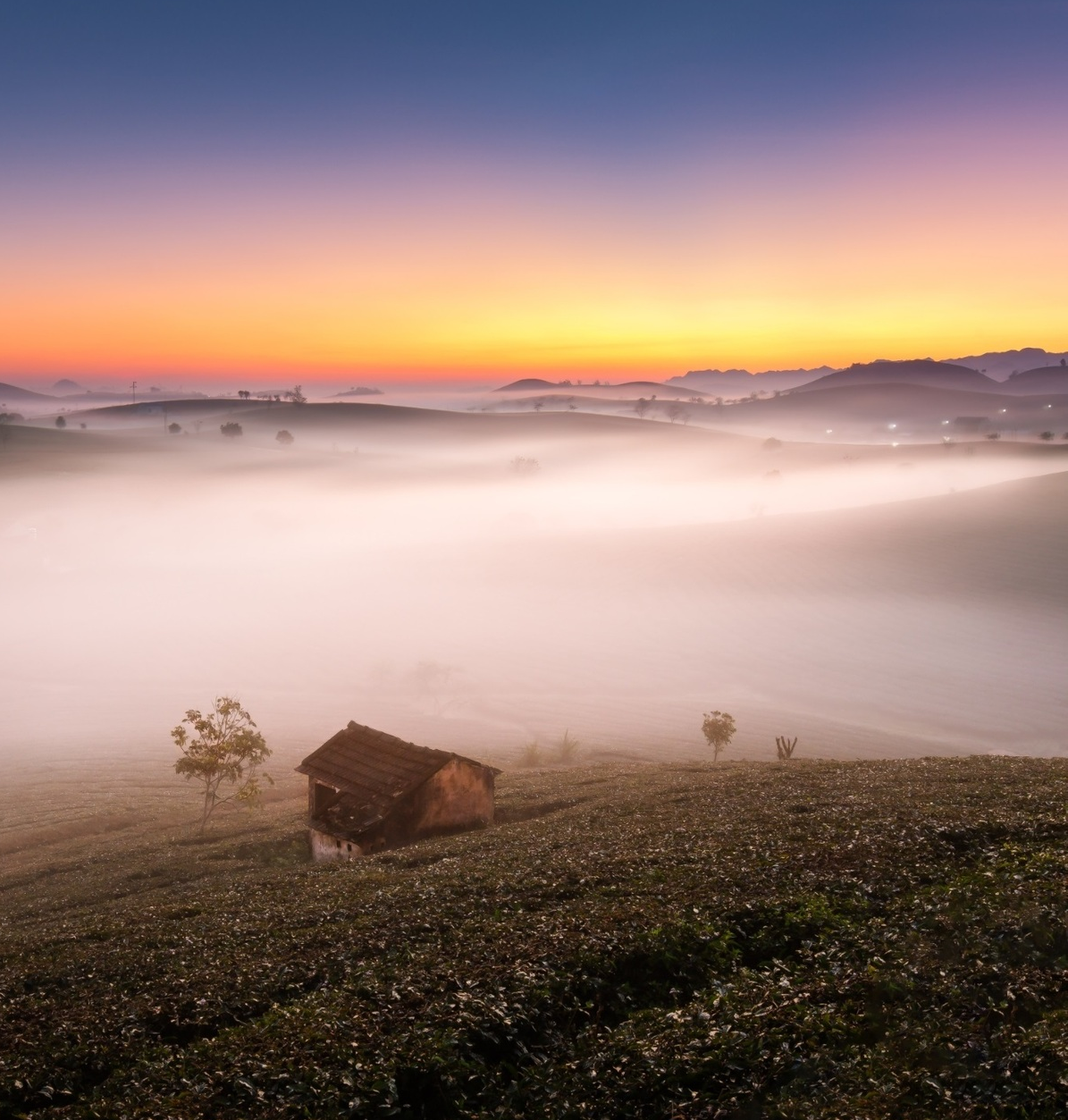 Vietnam's tranquility appears stunning under professional lenses Vietnam's tranquility appears stunning under professional lenses
