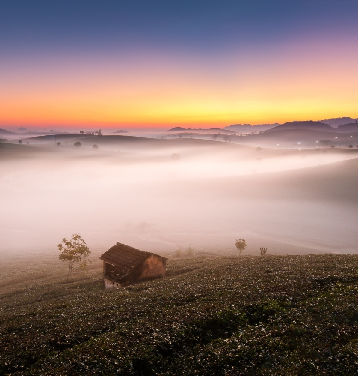 Vietnam's tranquility appears stunning under professional lenses