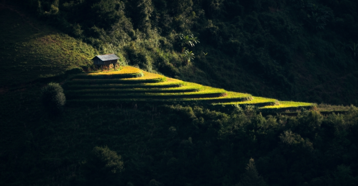 Vietnam's tranquility appears stunning under professional lenses Vietnam's tranquility appears stunning under professional lenses