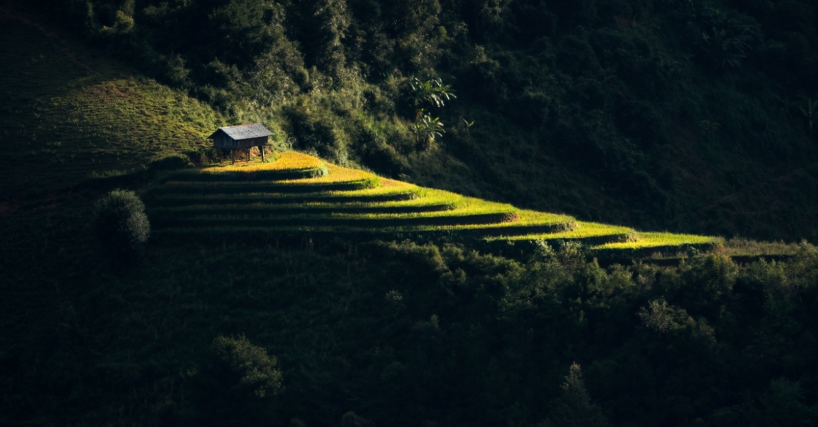 Vietnam's tranquility appears stunning under professional lenses