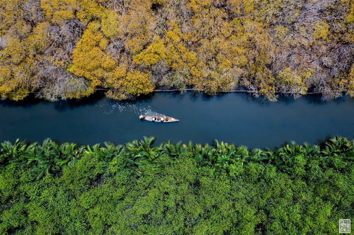 Getting lost in Hue's beautiful Ru Cha forest