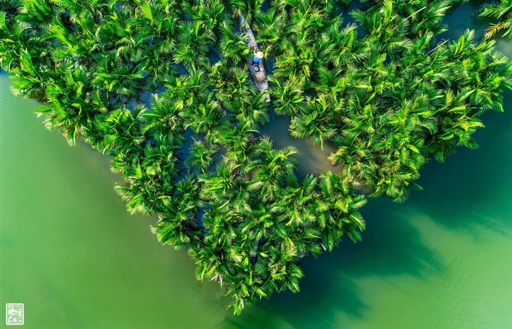 Getting lost in Hue's beautiful Ru Cha forest