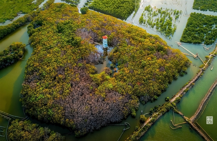 Getting lost in Hue's beautiful Ru Cha forest