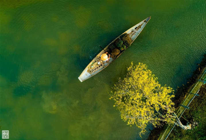 Getting lost in Hue's beautiful Ru Cha forest