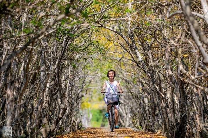 Getting lost in Hue's beautiful Ru Cha forest