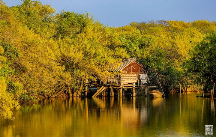 Getting lost in Hue's beautiful Ru Cha forest