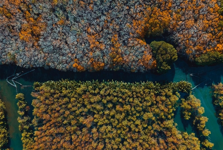 Getting lost in Hue's beautiful Ru Cha forest