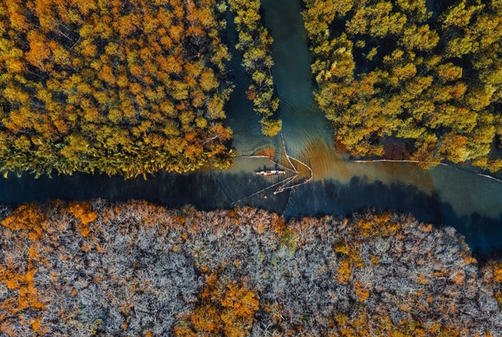 Getting lost in Hue's beautiful Ru Cha forest