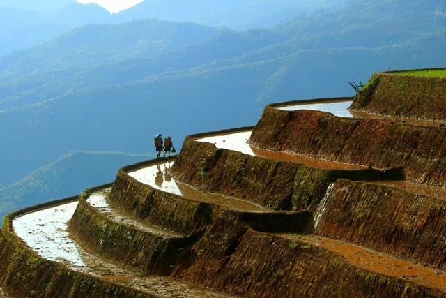 Mu Cang Chai Terraced fields glitters in irrigation season: not-to-miss tourism destinations