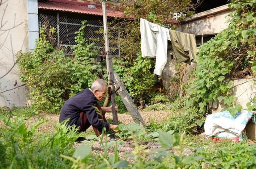 Exploring antique beauty of 5th-century village in Hanoi's suburb exploring antique beauty of 5th century village in hanois suburb