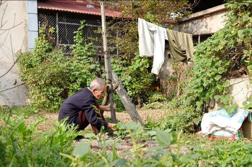 exploring antique beauty of 5th century village in hanois suburb