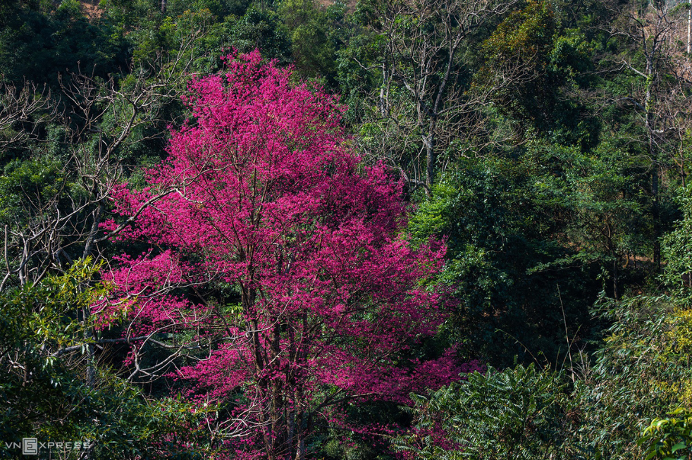 mount mau son sublime beauty through 4 seasons