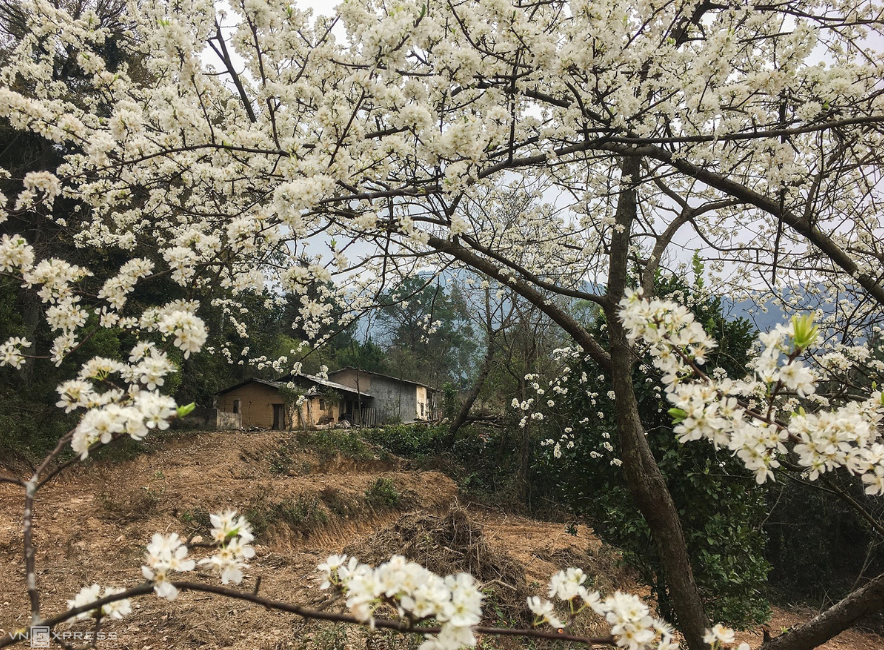 mount mau son sublime beauty through 4 seasons