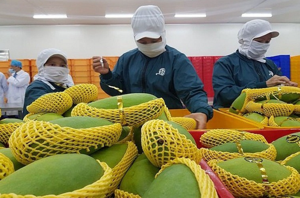 UK represents a potential export market for Vietnamese fruit and vegetables