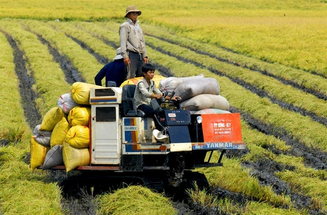 Vietnam Looks to Become Asian Food Innovation Hub