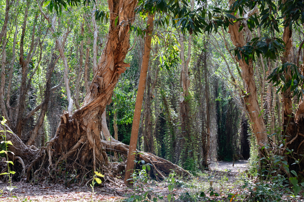 6 not to miss attractions in ho tram vietnams small tropical paradise