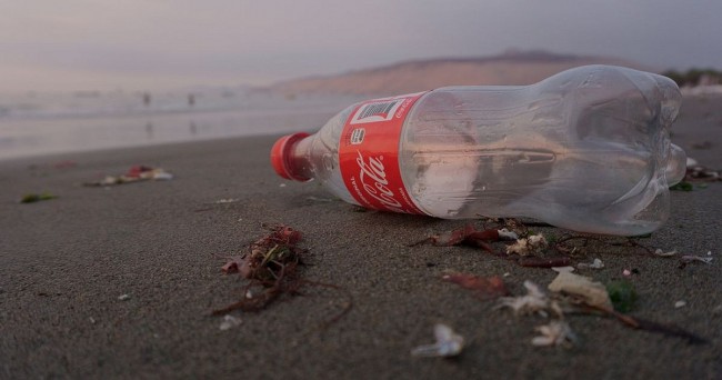 12 Most Polluting Companies in the World: Coca-Cola, PepsiCo, McDonalds, Heineken