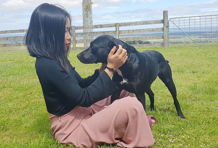 Vietnamese Wife Rescues Old Pets in Australia