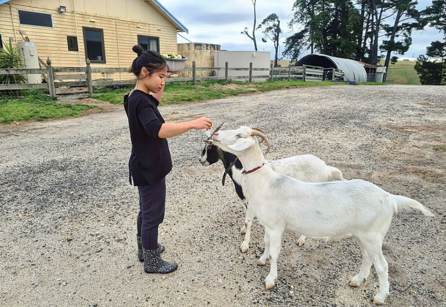 Vietnamese Wife Rescues Old Pets in Australia