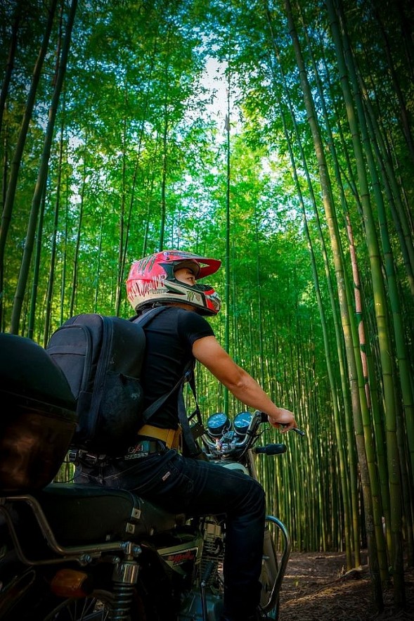 Photo: 60-year-old Green Bamboo Forest in Mu Cang Chai Photo: 60-year-old Green Bamboo Forest in Mu Cang Chai