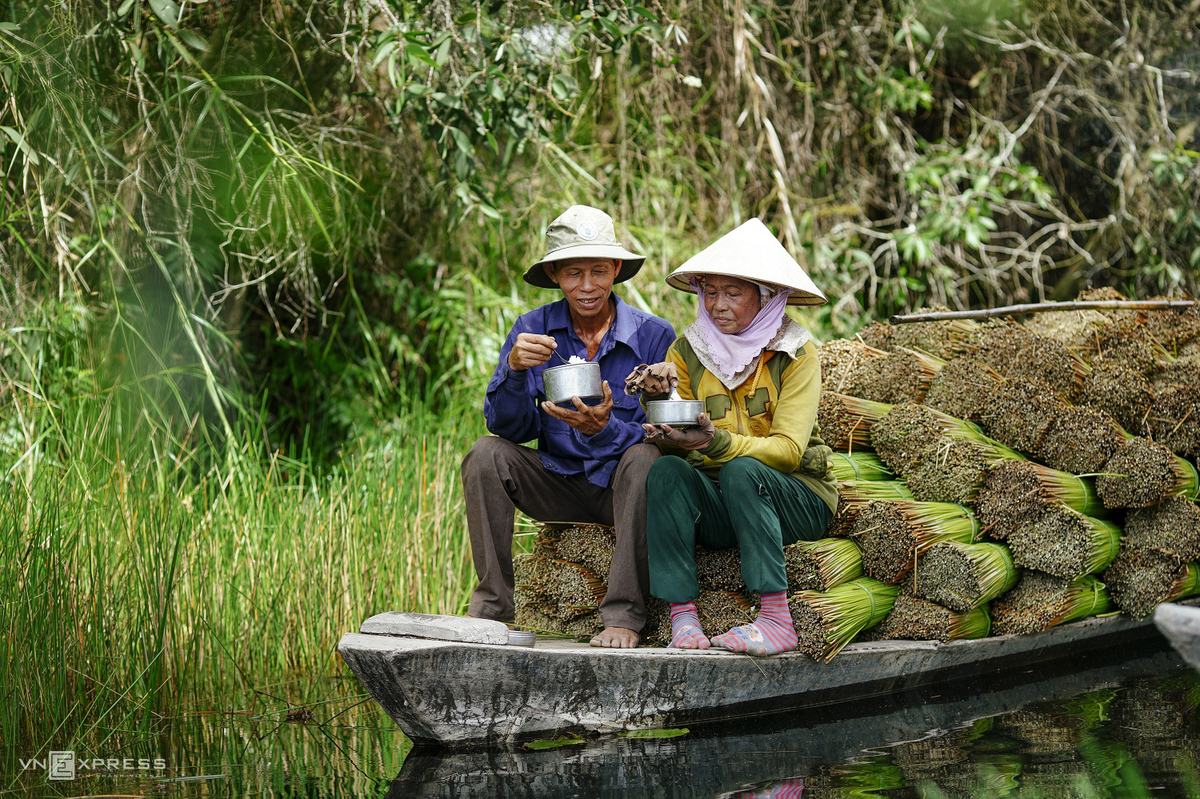 grass harvest seasons in the west side of vietnam