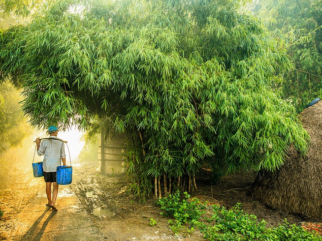 vietnamese amateur photographer launches a gallery of thousands photo about ben tre due to love