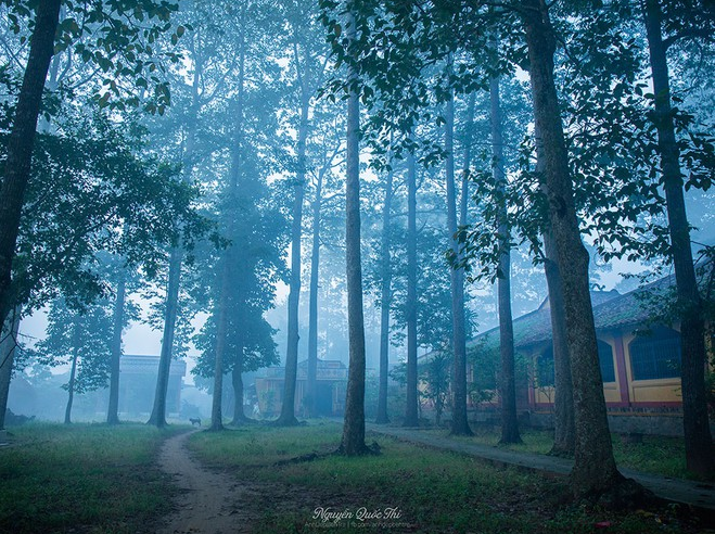 vietnamese amateur photographer launches a gallery of thousands photo about ben tre due to love